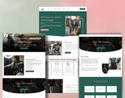 Website Design